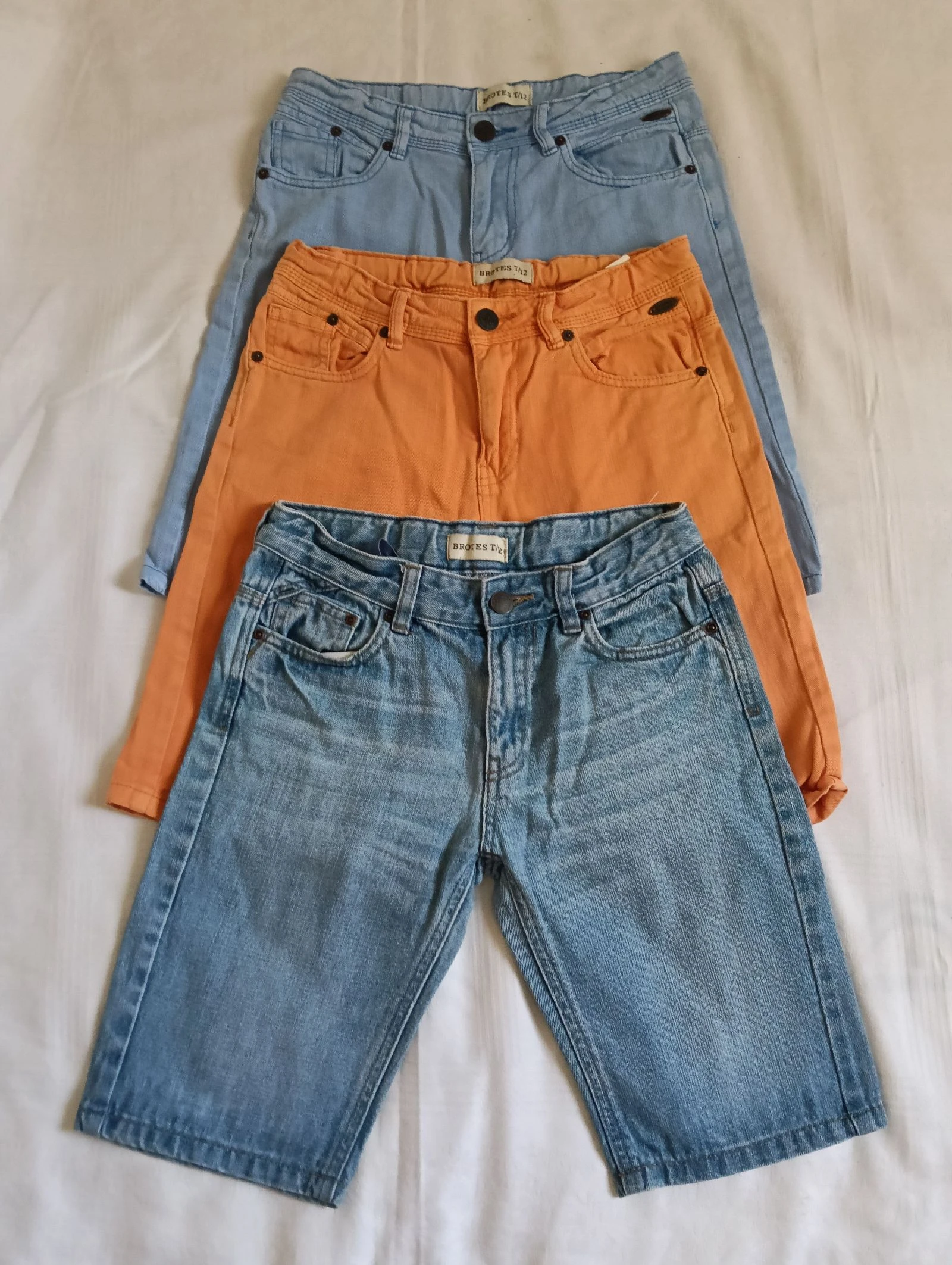 Bermudas Brotes